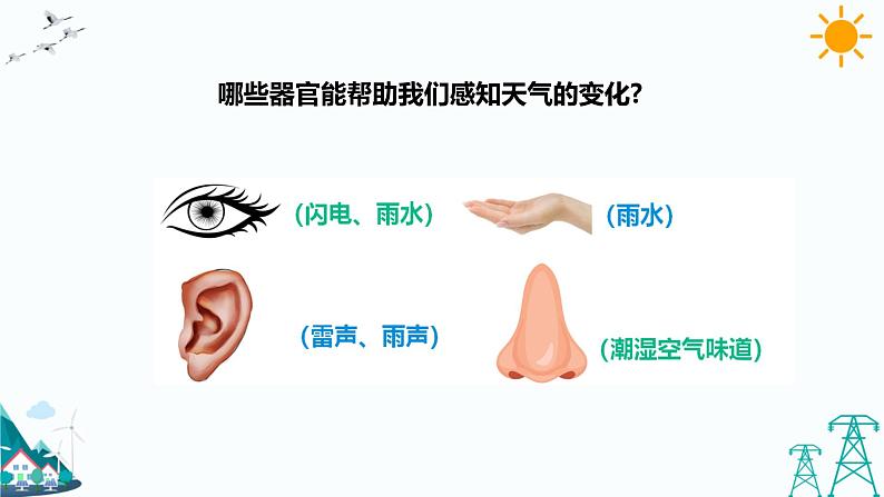 3.8《人的感知与反应》课件（课件+教案+习题）06