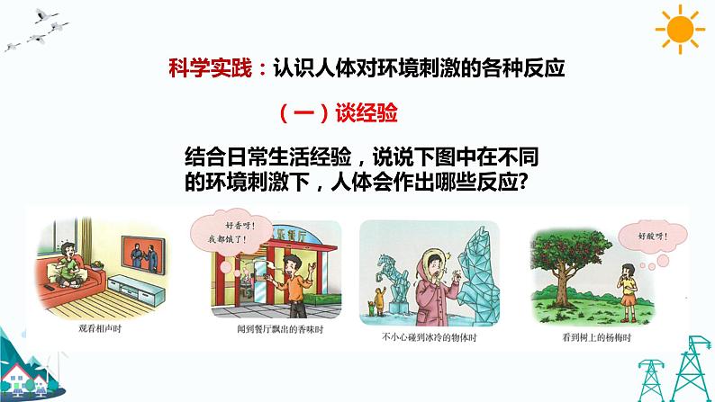 3.8《人的感知与反应》课件（课件+教案+习题）08