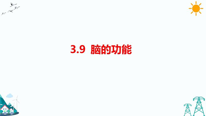 3.9《脑的功能》课件（课件+教案+习题）01