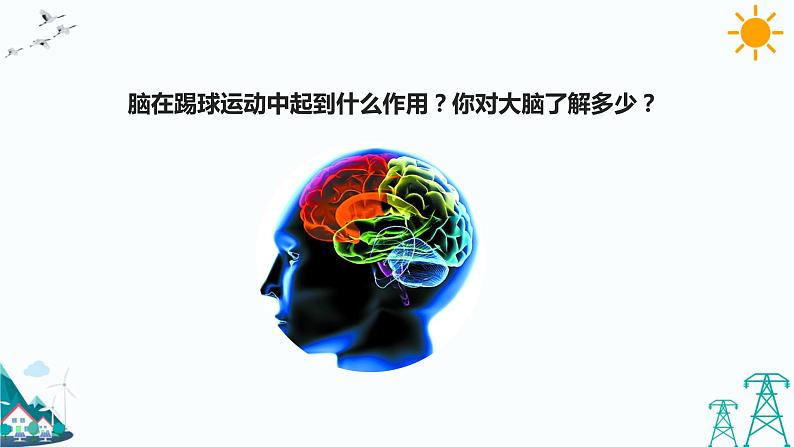 3.9《脑的功能》课件（课件+教案+习题）03