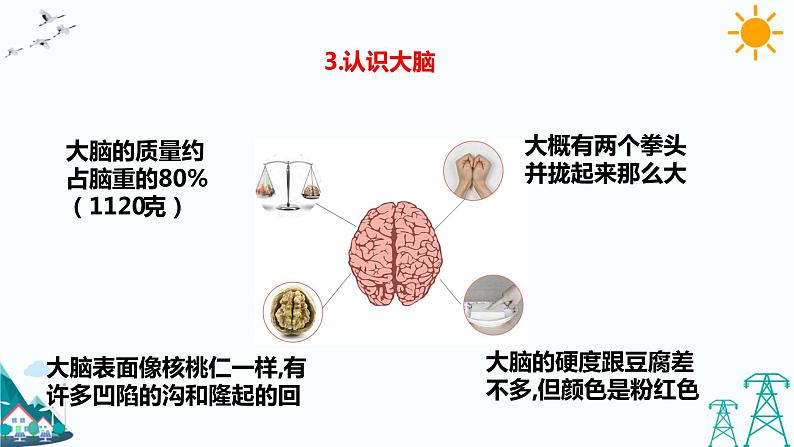 3.9《脑的功能》课件（课件+教案+习题）06