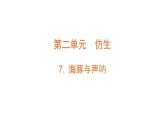 2021-2022学年苏教版五年级下学期科学7海豚与声呐课件