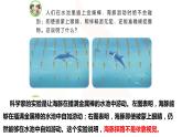 2021-2022学年苏教版五年级下学期科学7海豚与声呐课件