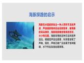 2021-2022学年苏教版五年级下学期科学7海豚与声呐课件