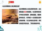 2.6《古代生物的多样性》课件（课件+教案+习题）