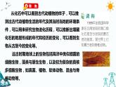 2.6《古代生物的多样性》课件（课件+教案+习题）