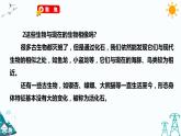 2.6《古代生物的多样性》课件（课件+教案+习题）