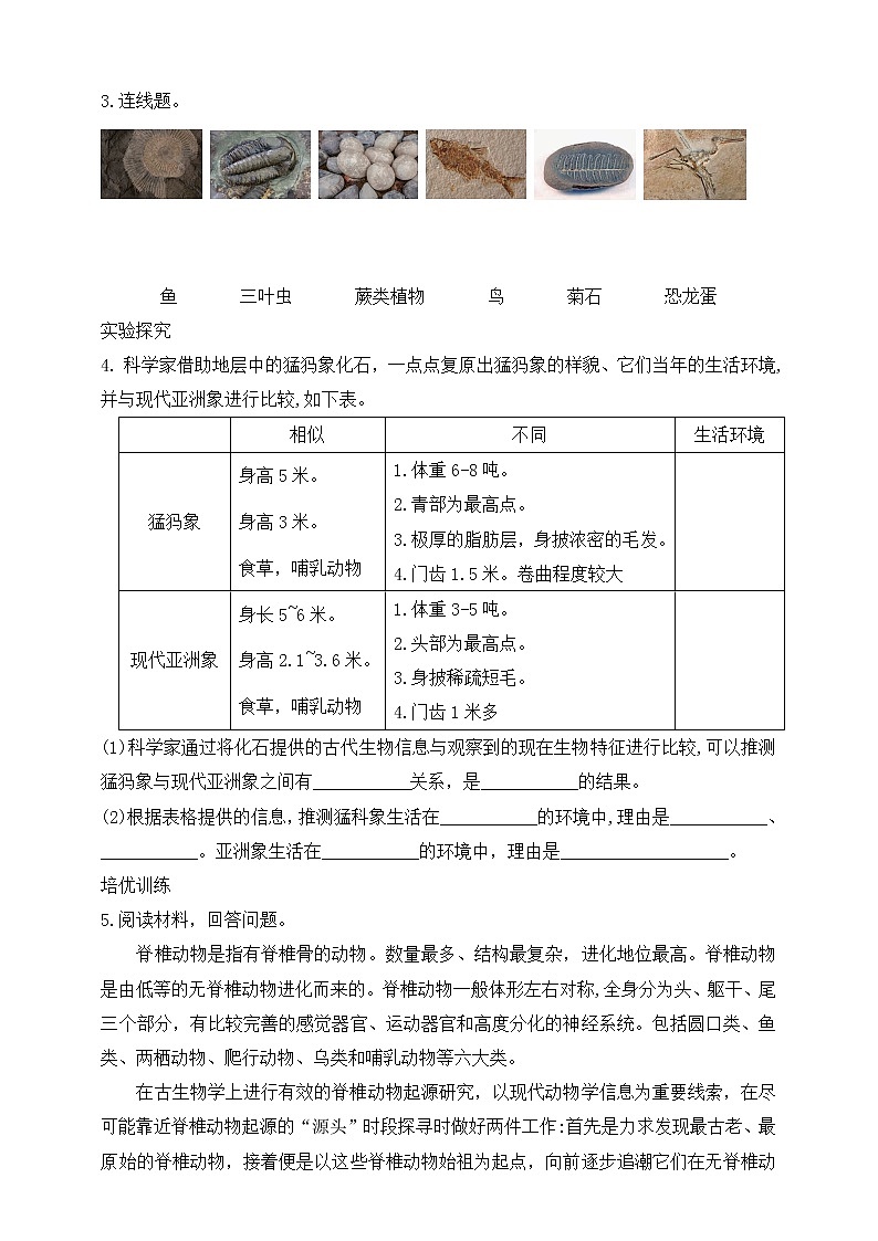 2.6《古代生物的多样性》课件（课件+教案+习题）02