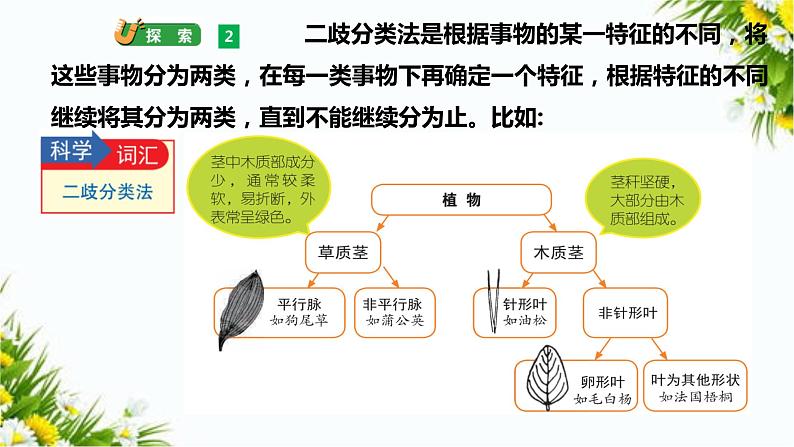 2.2《制作校园生物分布图》课件（课件+教案+习题）05