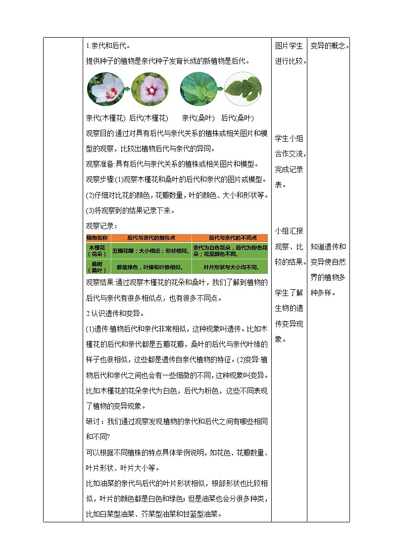 2.3《形形色色的植物》课件（课件+教案+习题）02