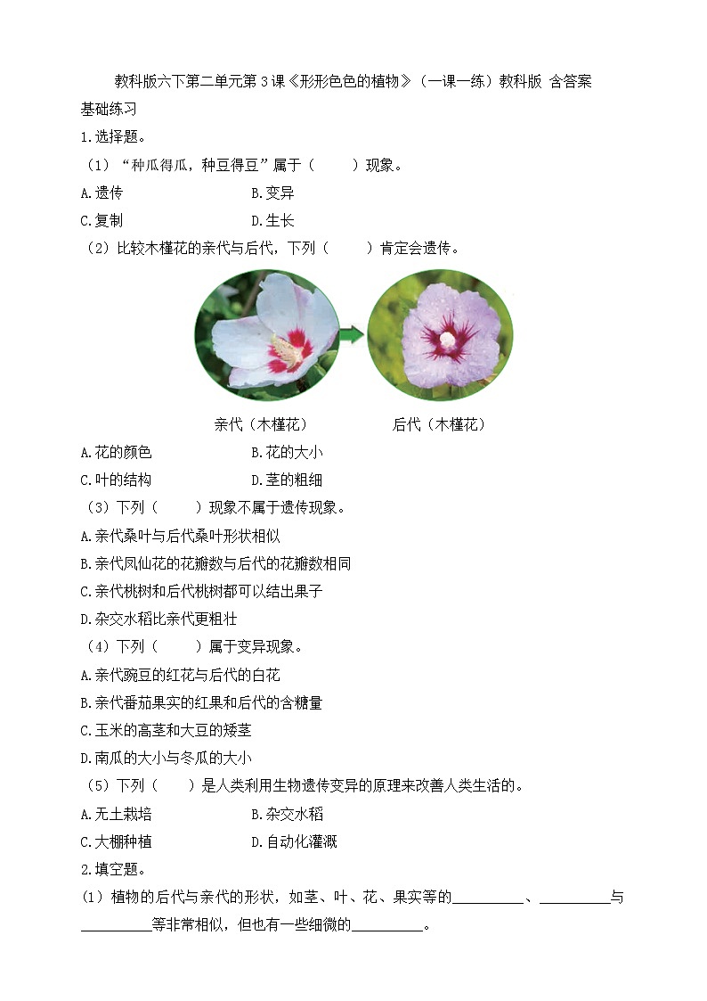 2.3《形形色色的植物》课件（课件+教案+习题）01