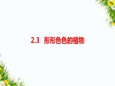 2.3《形形色色的植物》课件（课件+教案+习题）