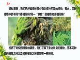 2.3《形形色色的植物》课件（课件+教案+习题）