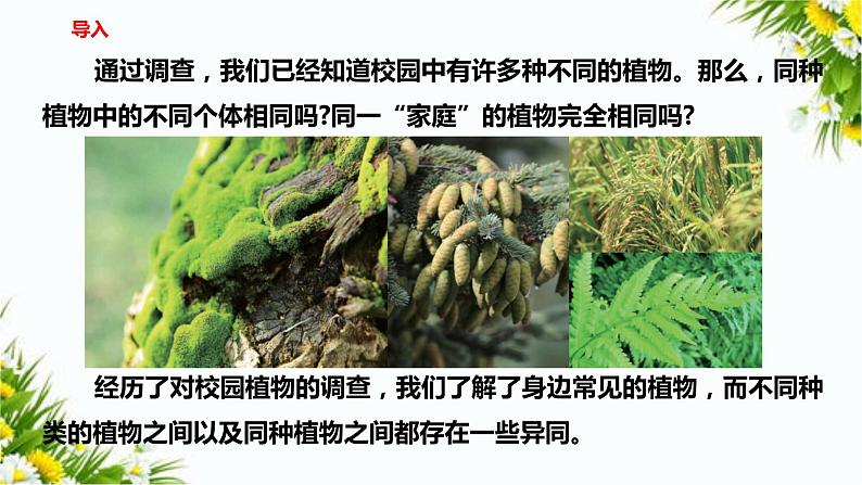 2.3《形形色色的植物》课件（课件+教案+习题）02