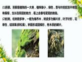2.3《形形色色的植物》课件（课件+教案+习题）