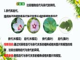 2.3《形形色色的植物》课件（课件+教案+习题）