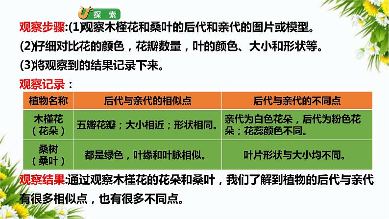 2.3《形形色色的植物》课件（课件+教案+习题）06