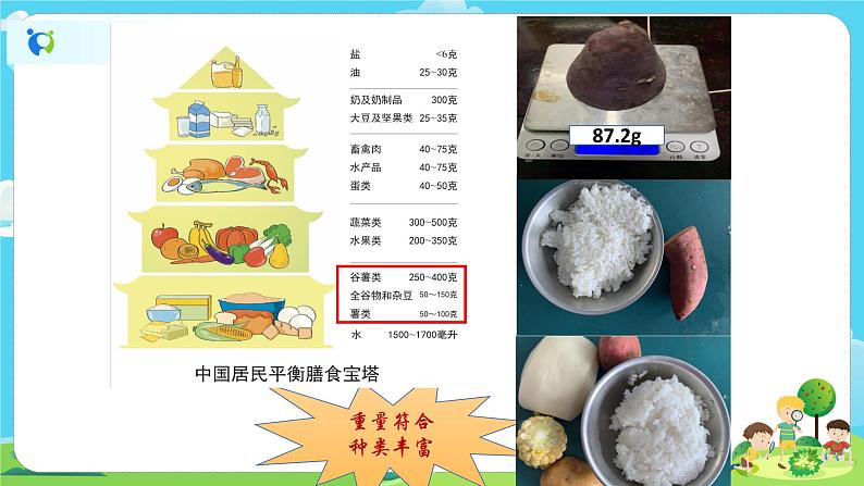 4.2.6《营养要均衡》课件+教案05