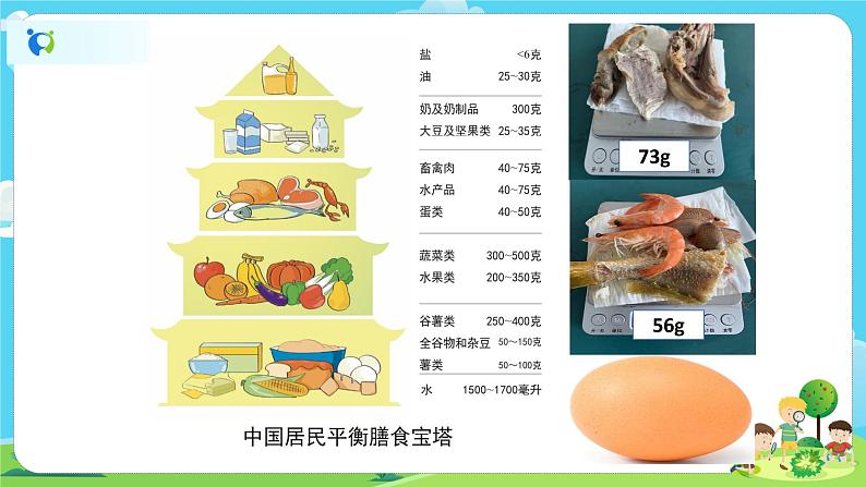 4.2.6《营养要均衡》课件+教案07