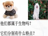 冀人版科學(xué)三年級(jí)下冊(cè) 第1課-生物與非生物 教學(xué)課件PPT+視頻素材