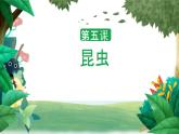 冀人版科學三年級下冊 第5課-昆蟲 教學課件PPT+視頻素材