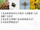 冀人版科學三年級下冊 第5課-昆蟲 教學課件PPT+視頻素材