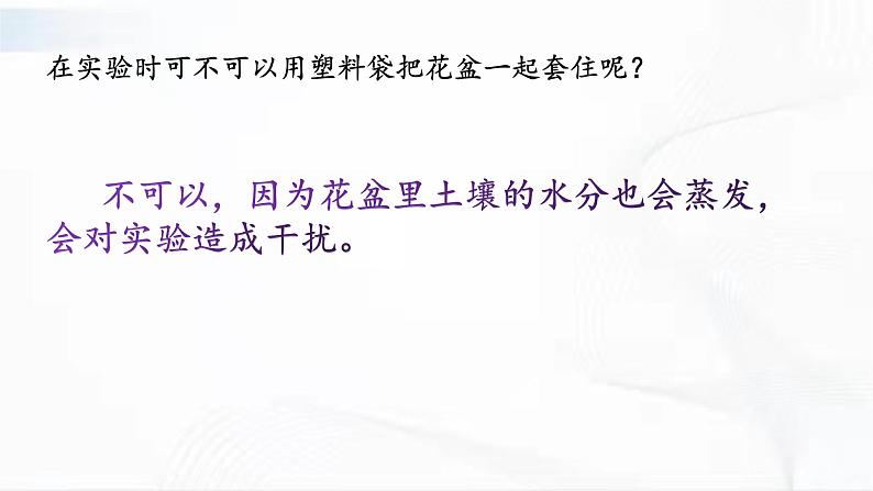 冀人版科学三年级下册 第6课-仙人掌与莲 教学课件第6页
