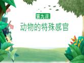 冀人版科学三年级下册 第9课-动物的特殊感官 教学课件PPT+视频素材