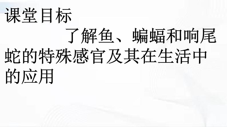 冀人版科学三年级下册 第9课-动物的特殊感官 教学课件PPT+视频素材03