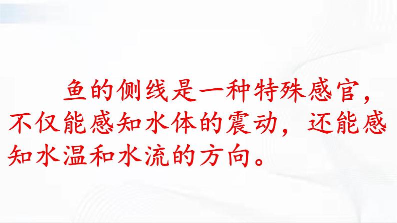 冀人版科学三年级下册 第9课-动物的特殊感官 教学课件PPT+视频素材06