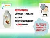 冀人版科學(xué)三年級下冊 第10課-蜜蜂傳粉 教學(xué)課件PPT+視頻素材