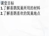 冀人版科學(xué)三年級下冊 第11課-喜鵲筑巢 教學(xué)課件PPT+視頻素材