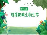 冀人版科學(xué)三年級(jí)下冊(cè) 第13課-筑路影響生物生存 教學(xué)課件PPT+視頻素材