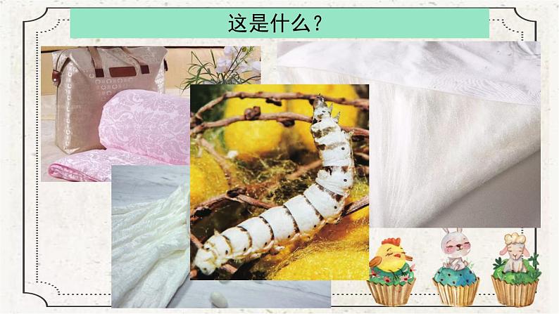 2-1迎接蚕宝宝的到来 课件PPT+教案+素材04