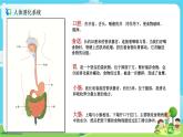 4.2.8《食物在身体里的旅行》课件+教案