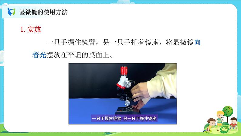 6.1.3《观察身边微小的物体》课件+教案05