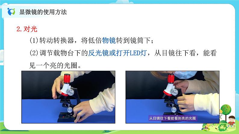 6.1.3《观察身边微小的物体》课件+教案06