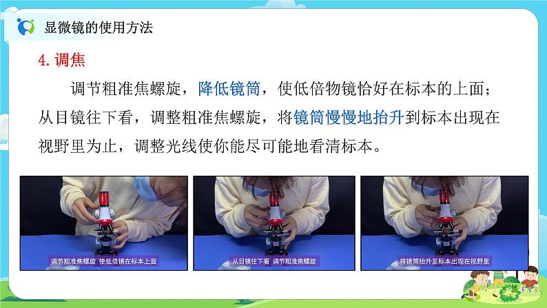 6.1.3《观察身边微小的物体》课件+教案08