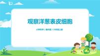 小学科学教科版 (2017)六年级上册4.观察洋葱表皮细胞一等奖ppt课件
