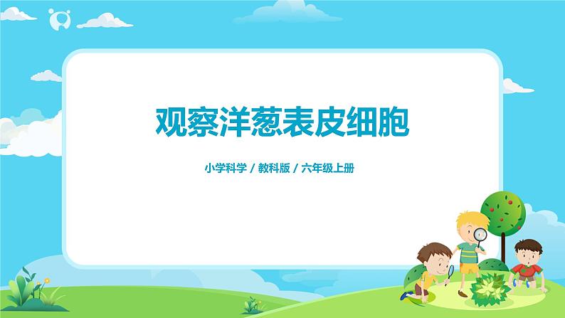 6.1.4《观察洋葱表皮细胞》课件+教案01