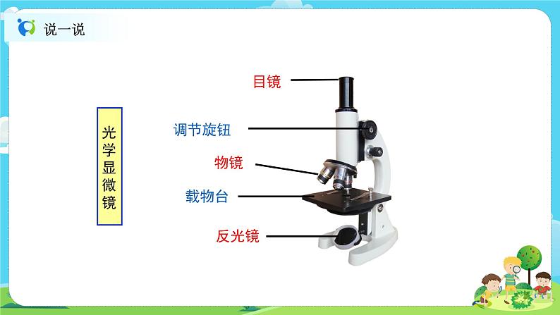 6.1.4《观察洋葱表皮细胞》课件+教案05