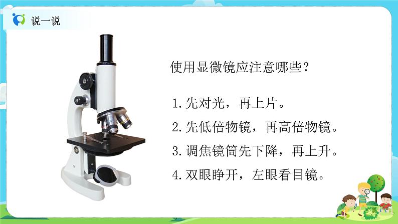 6.1.4《观察洋葱表皮细胞》课件+教案06