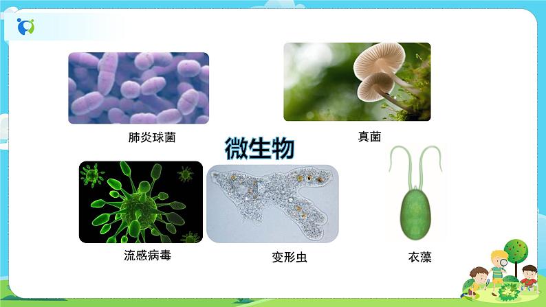 6.1.7《微生物与健康》课件+教案02