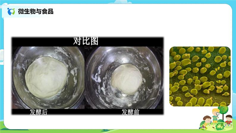 6.1.7《微生物与健康》课件+教案05