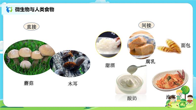 6.1.7《微生物与健康》课件+教案06