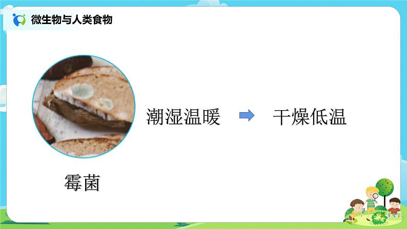 6.1.7《微生物与健康》课件+教案07