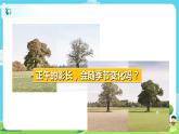 6.2.5《影长的四季变化》课件+教案