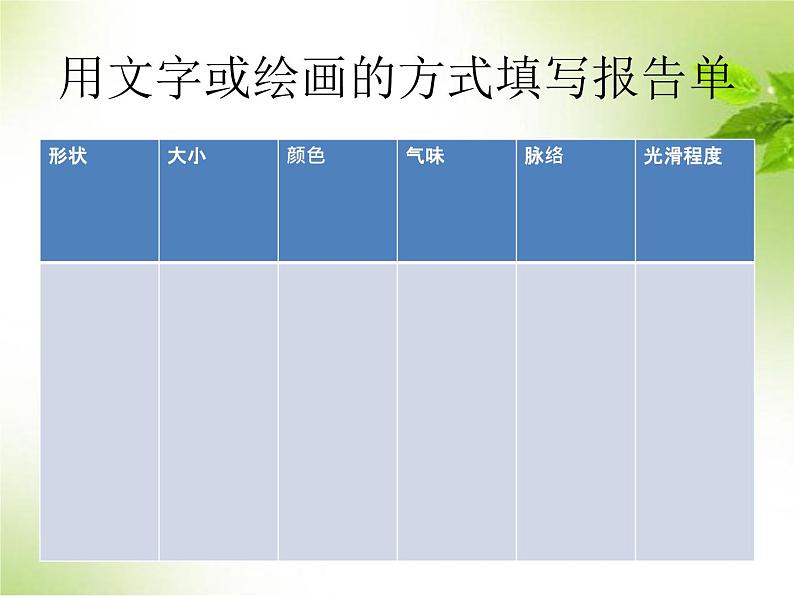 鄂教人教版科学一年级下册 1 各种各样的叶 课件PPT05