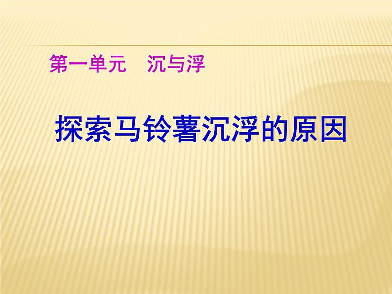 苏教版五下科学课件1-8_探索马铃薯沉浮的原因01