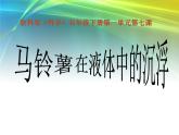 苏教版五下科学课件马铃薯在液体中的沉浮 (1)